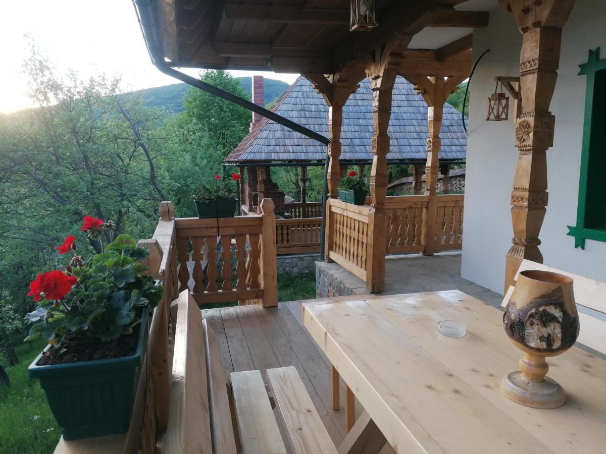 Pensiunea Casuta Din Deal Moisei Εξωτερικό φωτογραφία